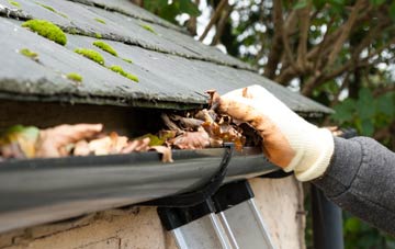 gutter cleaning Pitton