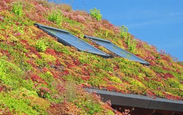 Pitton living roof systems