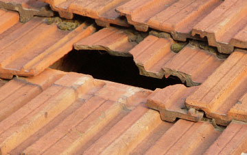 roof repair Pitton