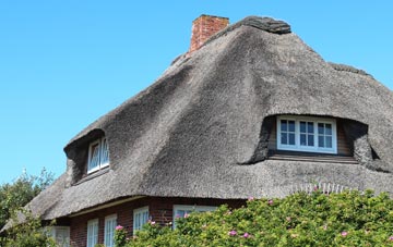 thatch roofing Pitton